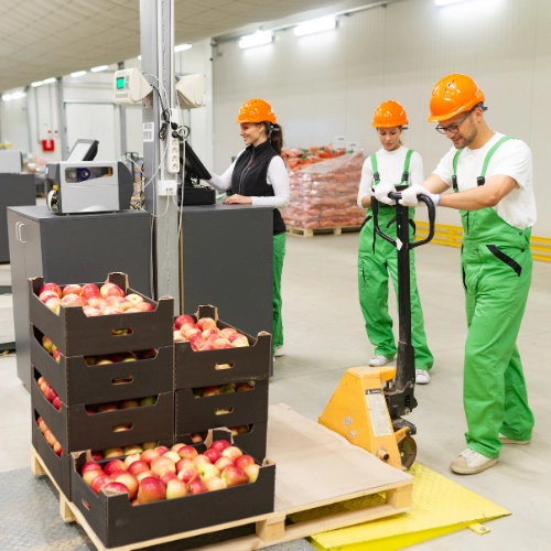 Naves Industriales con Alto Potencial