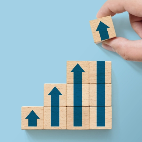 Crecimiento Sostenido